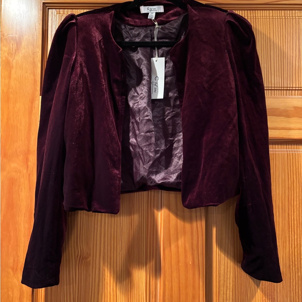 Purple Velvet Blazer